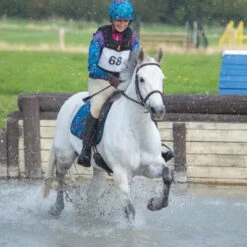 Number Bib -Caval Riding Apparel Shop 8081 Shires Number.Bib In.Use