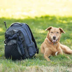 Kerrits EQ Backpack -Caval Riding Apparel Shop EQBackPack 30444 Black2