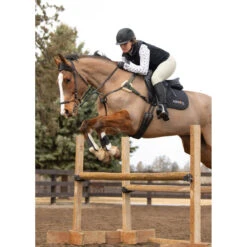 Kerrits Women's 3-Season Tailored Knee Patch Breech 12 Kerrits Women's 3-Season Tailored Knee Patch Breech -Caval Riding Apparel Shop Kerrits 40681P Sand IRL