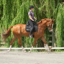 Kerrits Women's Crossover II Full Seat Breech -Caval Riding Apparel Shop black3 68735.1581518814.1280.1280 ee0169b4 275f 4e97 9c76 48ce457233a0