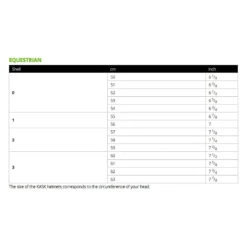 KASK Dogma Pure Shine Chrome Riding Helmet -Caval Riding Apparel Shop size e8ed8e32 091e 411c 9b92 d441b5567185